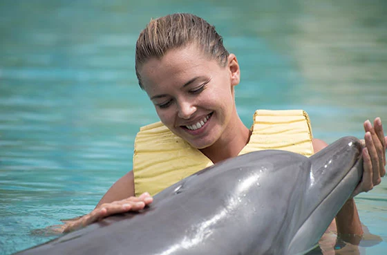 dolphin-encounter-1