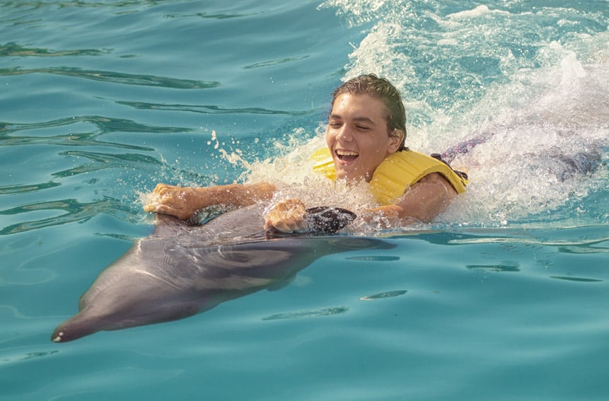 dolphinaris-galery-ocean-3